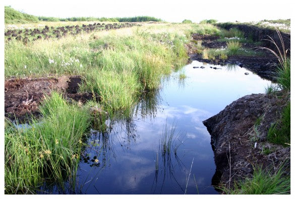 What is Turf and How is it Cut from Bogs? | Claddagh Design